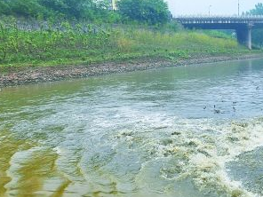 保定徐水污水清运多少钱